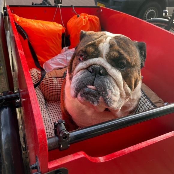 Meet your Posher, Andrew - Picture 1 of 1